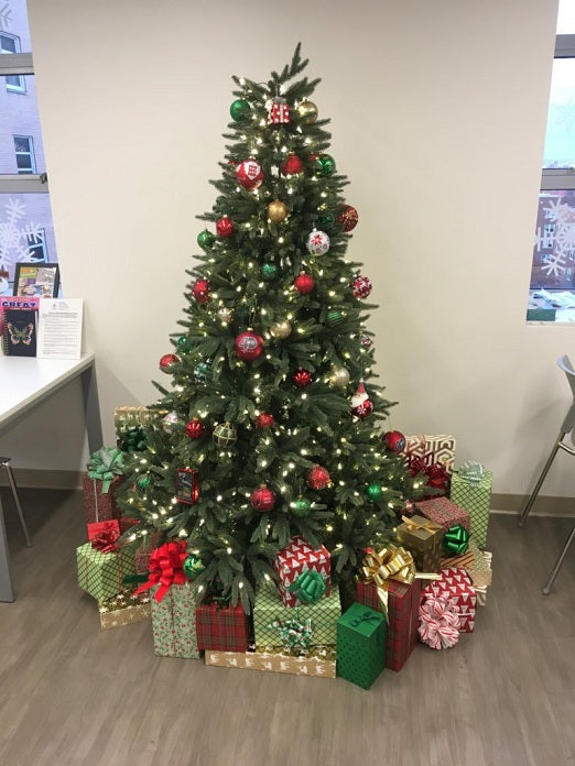 Elmhurst County Hospital's Ronald McDonald Family Room becomes a Winter Palace