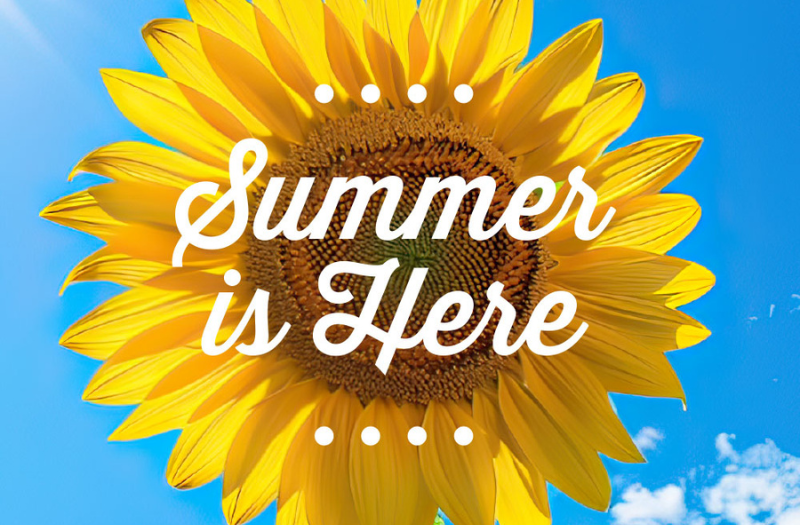 Monthly Newsletter June 2024