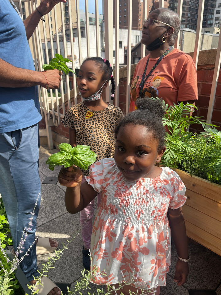 Growing Love at Ronald McDonald House New York