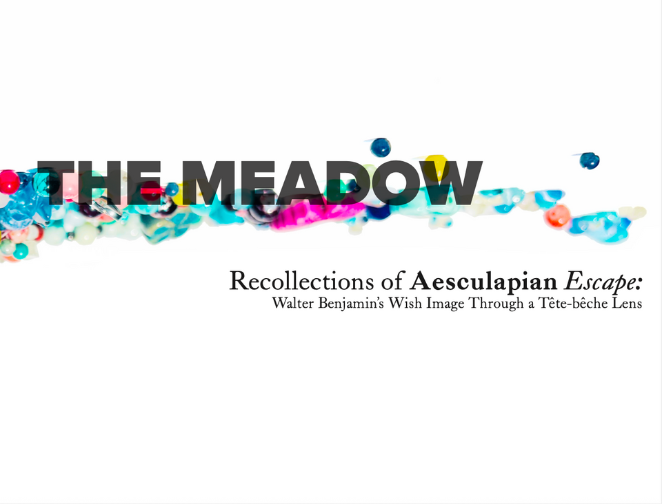 A Journey Through Meadow and Memory